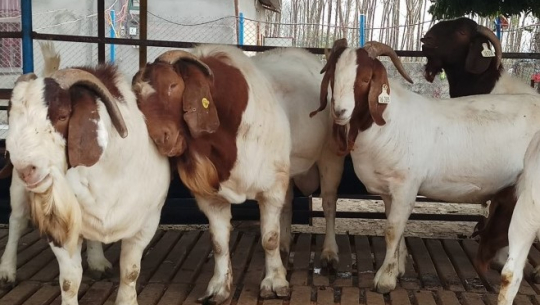 फाइल फोटो 