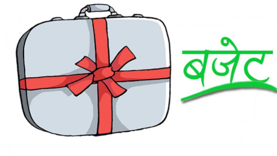 वजेटको समर्थन र विरोधमा सांसदहरु बिच जुहारी 