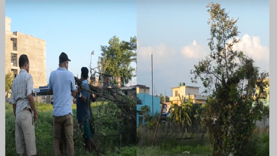 धनगढीमा पनि ‘बुढी’ हालेर मनाइयो ओल्के पर्व (भिडियोसहित) 