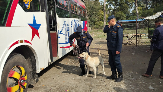 चुनाव लक्षित सुरक्षा सतर्कता: अत्तरिया बसपार्कमा कुकुर प्रयोग गरी चेकजाँच