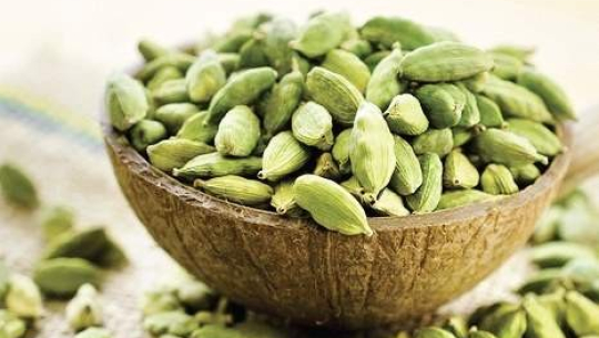 किसानलाई अलैँचीको चटारो, उत्पादन बढ्यो, भाउ छैन