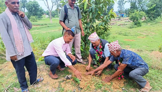 कञ्चनपुरमा सप्ताहव्यापी वृक्षारोपण अभियान सुरु, ५० हजार बिरुवा रोप्ने लक्ष्य