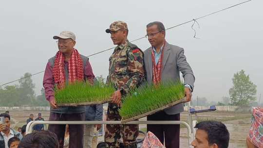 कैलालीमा धान रोप्ने चारपाङ्ग्रे मेसिनको उद्घाटन, कृषिमा लागत घट्ने अपेक्षा