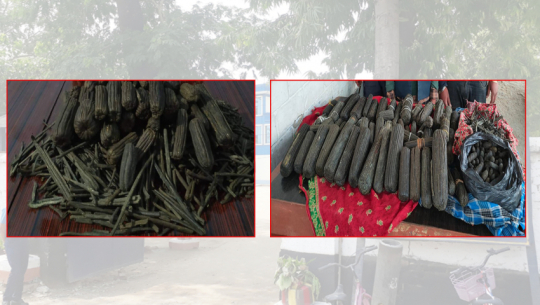 कैलालीमा लागुऔषधसहित ३९२ जना पक्राउ, २७५ विरुद्ध मुद्दा दर्ता