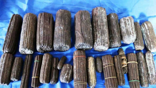 बैतडीमा १० किलो चरेशसहित १ जना पक्राउ