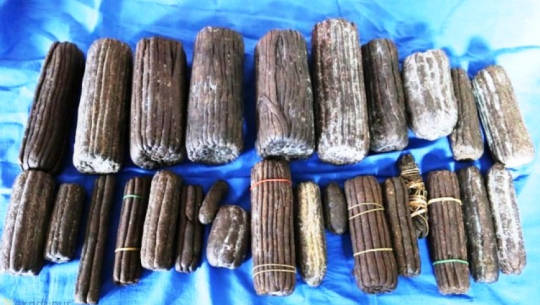 Man arrested with 480 grams of hashish in Darchula