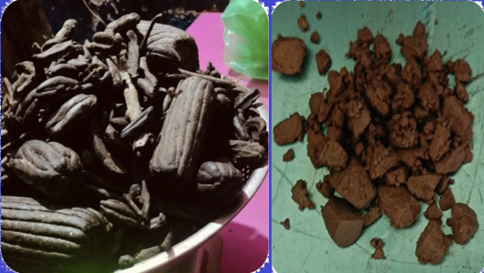 कञ्चनपुरमा चरेश र खैरो हेरोइनसहित एक किशोरी र युवक पक्राउ