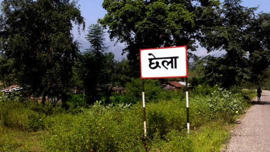 दैजी–छेला औद्योगिक क्षेत्र निर्माण अलपत्र, वनको क्षेत्रफल नै भएन एकिन