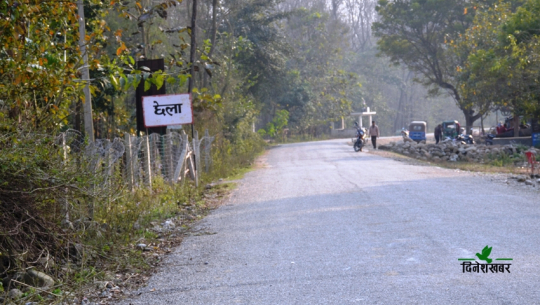 दैजी-छेला औद्योगिक क्षेत्रः शिलान्यासको चार वर्ष बित्यो, रुख कटान अनुमतिको पर्खाइमा