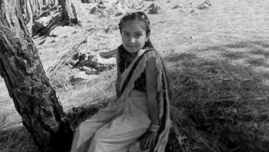 12-Year-Old Girl Dies of Snake Bite in Baitadi