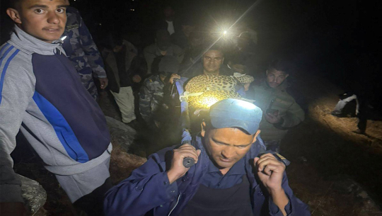 दार्चुलामा पासोमा फसेको चितुवाको उद्धार  