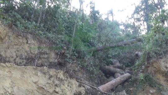 Illegal cutting of trees traced in Chure, Kailali