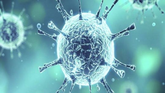 कोरोना भाइरसबारे ४० वर्षअघि नै लेखिएको थियो, उपन्यासमा