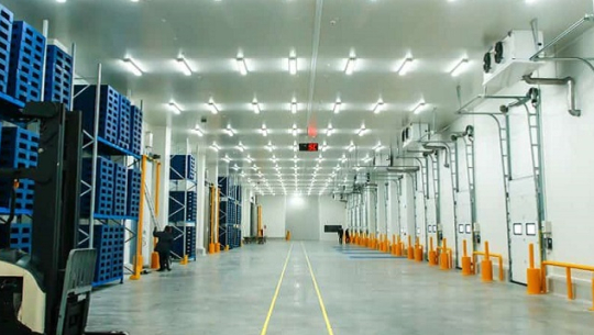 बाजुराको कोल्टीमा कृषि उपज सङ्कलन केन्द्र सञ्चालन