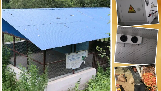 फाइल फोटो 