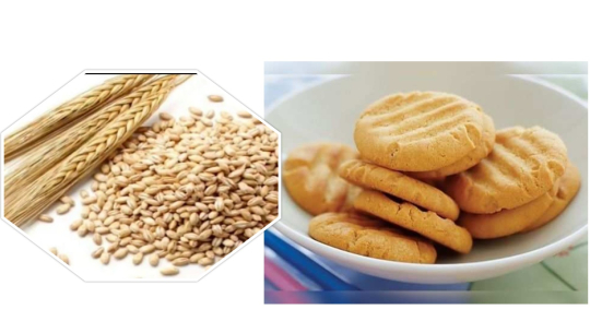 दार्चुलाको अपिहिमालका महिलाले बिस्कुट उत्पादन गर्ने 