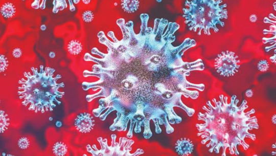 प्रदेश नं १ मा ९० जनामा कोरोना सङ्क्रमण