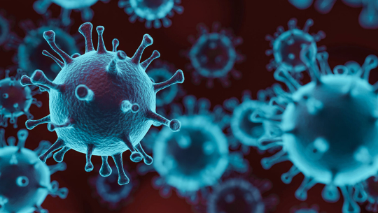 देशभर थप १७ जनामा कोरोना संक्रमण