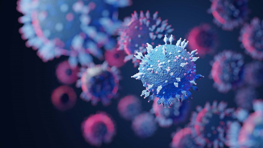 देशरभर थप १२ जनामा कोरोना संक्रमण पुष्टि 