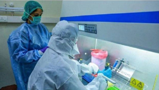 थप ४९०४ जनामा कोरोना संक्रमण पुष्टि