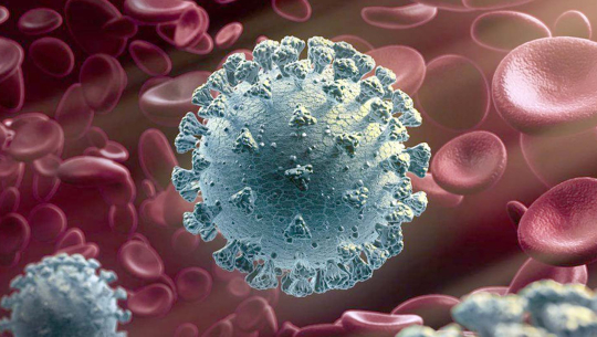 १० हजार बढी सङ्क्रमित थपिए, चारको मृत्यु