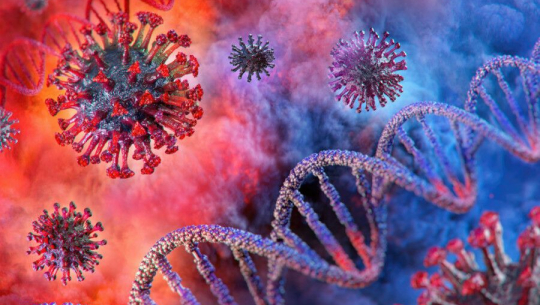 नेपालमा ‘निपाह’ भाइरस फैलिन सक्ने चेतावनी, सचेत रहन स्वास्थ्य मन्त्रालयको आग्रह