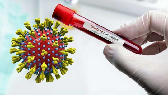 देशभर पछिल्लो २४ घण्टामा थप २३८ जनामा कोरोना सङ्क्रमण पुष्टि