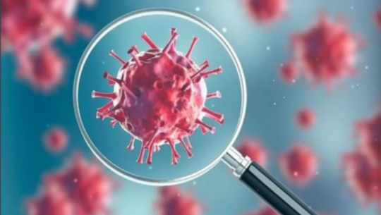 Zero death with 241 new cases of COVID-19