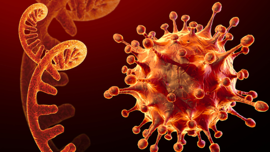 देशभर पछिल्लो २४ घण्टामा तीन हजार ७५ मा कोरोना सङ्क्रमण पुष्टि