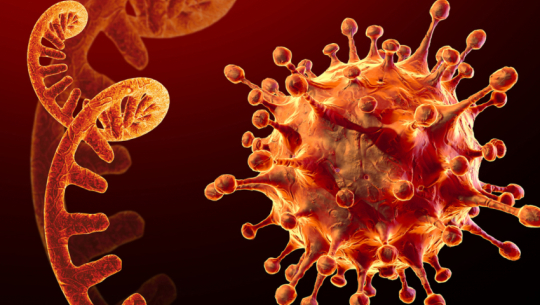 कैलालीका चार जनामा कोरोना पुष्टि