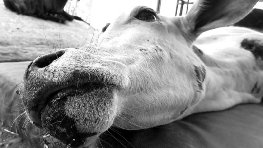 फाईल फोटो 