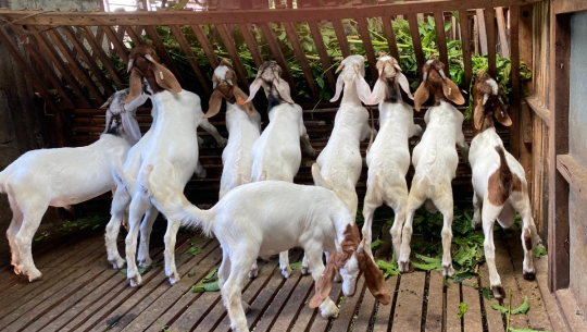 फाइल फोटो