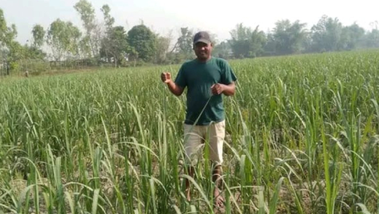 Master’s graduate from Kanchanpur turns to commercial farming
