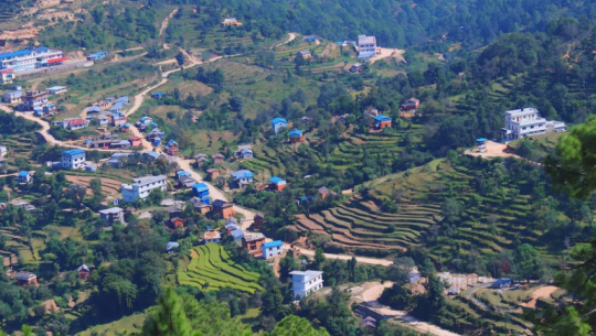 Illegal liquor trade thrives in Chaurpati despite municipal ban