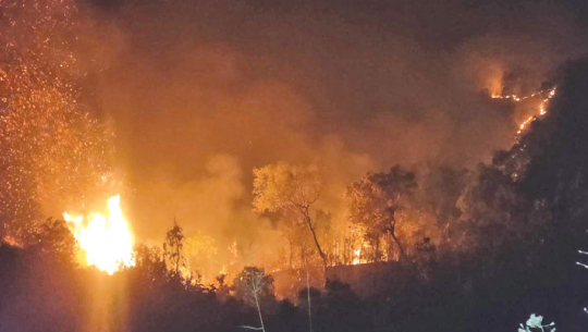 बैतडीमा डढेँलोमा परेर दुई महिला घाइते