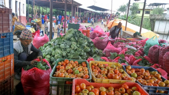 तरकारीको मूल्यवृद्धि गरेपछि  दर्जनभन्दा बढी पसल कारबाहीमा