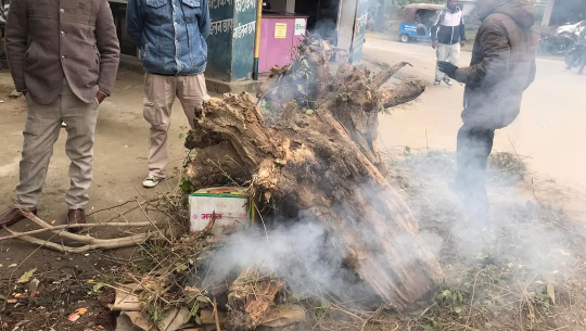 चिसो बढेपछि टीकापुर क्षेत्रमा दाउरा वितरण