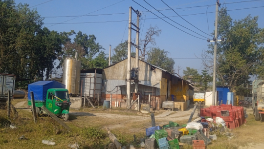 Dairy development project relocated from Attariya to Dhangadhi, production resumes