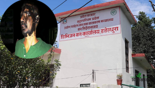 डडेल्धुरामा सामुदायिक वनका अध्यक्ष समातिए, अनुसन्धान थालियो