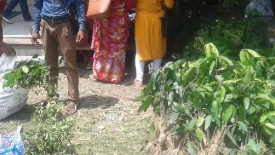 डडेल्धुरा र डोटीमा फलफूलका बिरुवा वितरण