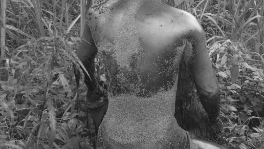 The body of a man missing for four days found in Kanchanpur