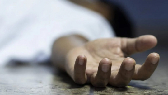 Tragic Incident Claims Life of Child in Doti as Tree Felling Turns Fatal