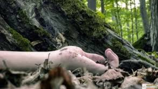 फाइल फोटो 