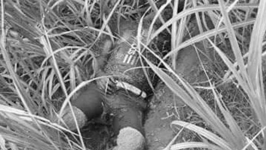 Dead body found in a sugarcane farm in Kanchanpur