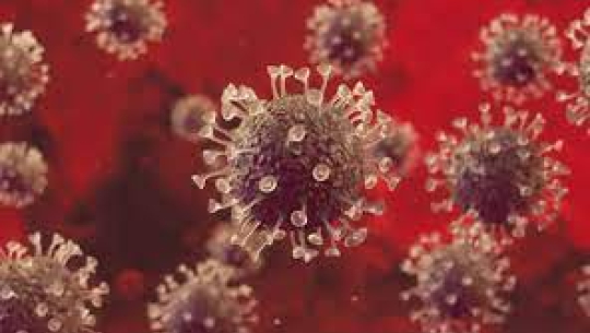 अनुवांशिक अध्ययन गर्दा डेल्टा भाइरस