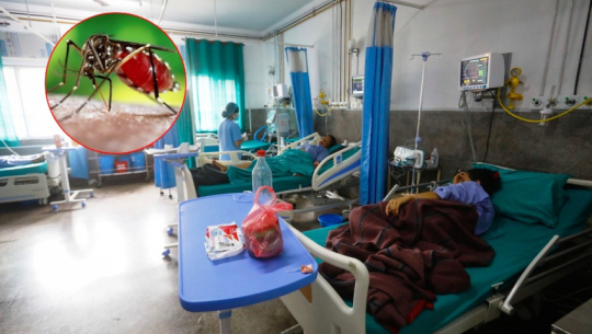 288 dengue cases reported in Sudurpaschim in eight months