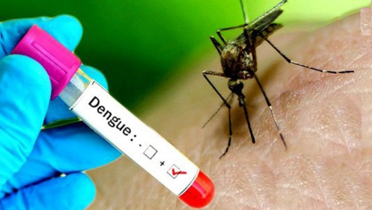 दार्चुलामा दुई जनामा डेङ्गु सङ्क्रमण
