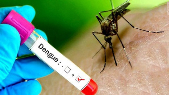 Dengue confirmed in two individuals in Darchula