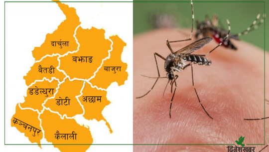 सुदूरपश्चिममा डेंगुको संक्रमण झण्डै तेब्बरले बढ्यो, ३ जनाको मृत्यु