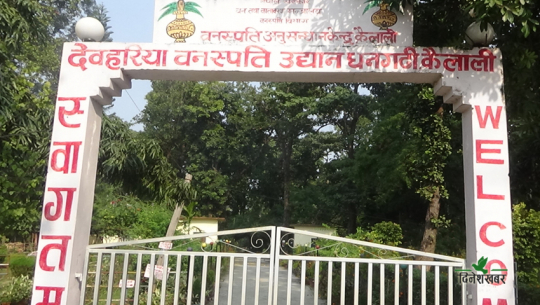 कैलालीमा भेटिए ८६९ प्रजातिका वनस्पति, २ उद्यानमार्फत अनुसन्धान